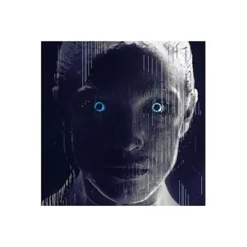 OST - The Machine (Tom Raybould) (4251648416135) виниловая пластинка