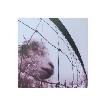 Pearl Jam, Vs. (coloured) (0196588368714) виниловая пластинка