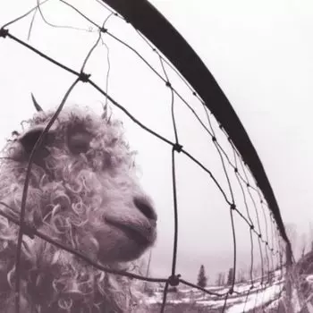 Pearl Jam, Vs. (Remastered) (0886978431318) виниловая пластинка