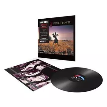 Pink Floyd, A Collection Of Great Dance Songs (Remastered) (0190295996901) виниловая пластинка
