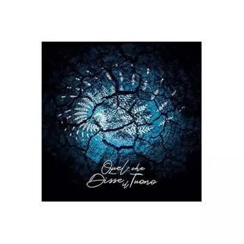 Quel Che Disse Il Tuono, Il Velo Dei Riflessi (8016158015140) виниловая пластинка