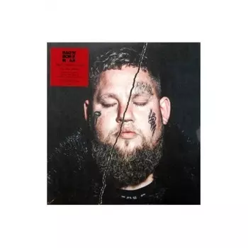 Rag'n'Bone Man - Life By Misadventure (0194398549712) виниловая пластинка