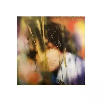 Sam Amidon - Sam Amidon (coloured) (0075597919233) виниловая пластинка