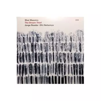 Shai Maestro - The Dream Thief (0602567867487) виниловая пластинка