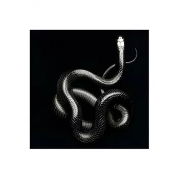 Soen - Imperial (0190296811296) виниловая пластинка