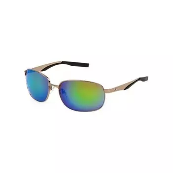 Солнцезащитные очки мужские Fila SFI724 Shiny Grey Gold (2SFI724638FFV)