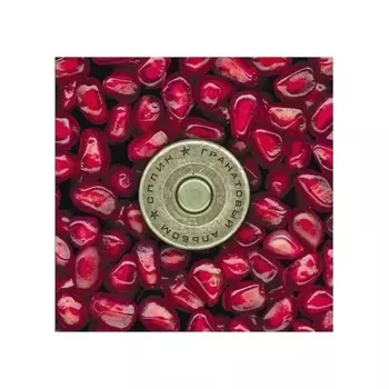 Сплин - Гранатовый альбом (4660275048501) виниловая пластинка