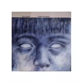 Steve Hackett - To Watch The Storms (0196588366611) виниловая пластинка
