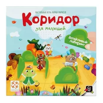 Стиль Жизни.Наст.игра "Коридор для малышей"