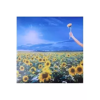 Stone Temple Pilots - Thank You (coloured) (0081227819316) виниловая пластинка