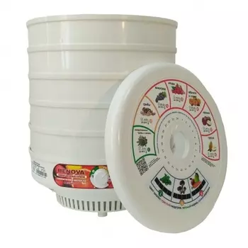 Сушилка для овощей и фруктов Renova DVN31-500/5