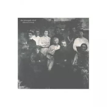 The Pineapple Thief - Abducted At Birth (0802644897813) виниловая пластинка