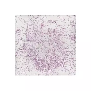 Tom Skinner - Voices Of Bishara (5060180325206) виниловая пластинка