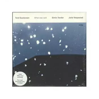 Tord Gustavsen - What Was Said (0602547665324) виниловая пластинка