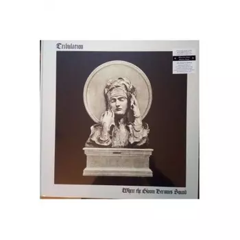 Tribulation - Where The Gloom Becomes Sound (coloured) (0194398364315) виниловая пластинка