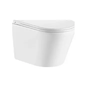 Унитаз OLIVE'S подвесной, белый, сиденье дюропласт TORRES (TR30116DP)