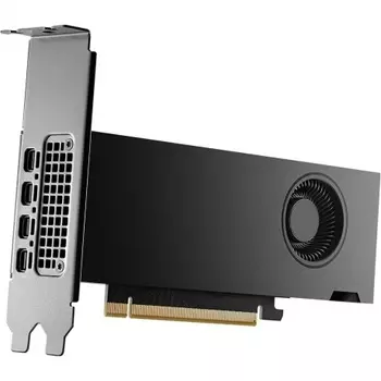 Видеокарта NVIDIA RTX 2000 ADA Graphics Cards, 16GB GDDR6 (ATX inst, LP incl), bulk