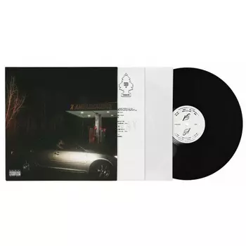 X Ambassadors - Townie (0196922646447) виниловая пластинка