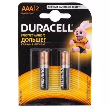 Батарейка Duracell LR03-2BL Basic AAA (2шт.)