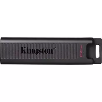 Флешка Kingston DataTraveler Max 256Gb USB 3.2 Gen2 DTMAX/256GB