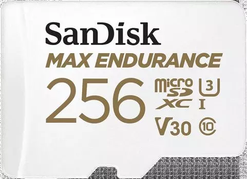 Карта памяти SanDisk MicroSDXC 256Gb Class 10 (SDSQQVR-256G-GN6IA)