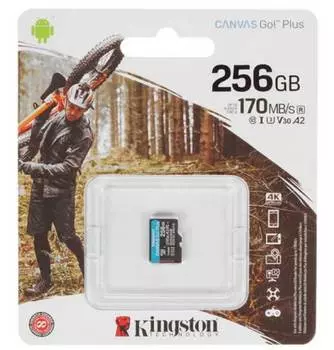 Карта памяти Kingston microSDXC Canvas Go! Class 10 256Gb (SDCG3/256GBSP)
