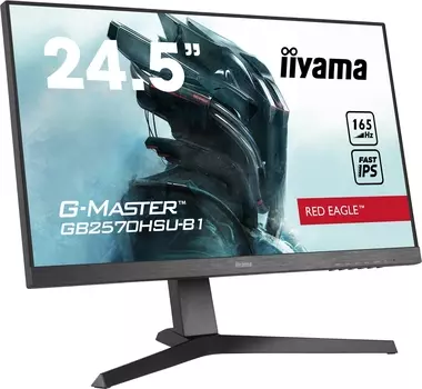 Монитор Iiyama 24.5'' GB2570HSU-B1 Black