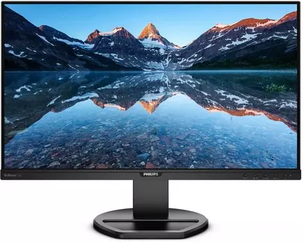 Монитор Philips 25" 252B9/00 Black