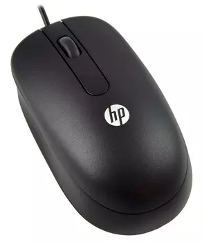 Мышь HP PS/2 Optical Scroll (QY775AA)