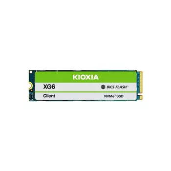 Накопитель SSD Toshiba Kioxia 256Gb (KXG60ZNV256GCPYLGA)