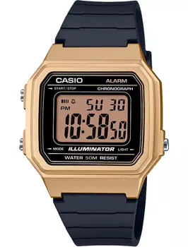 Наручные часы Casio W-217HM-9AVEF