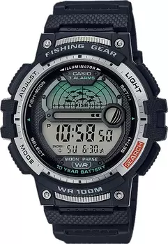 Наручные часы Casio WS-1200H-1AVEF