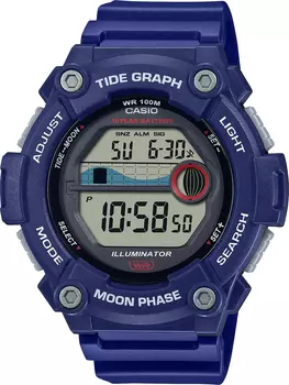 Наручные часы Casio WS-1300H-2A