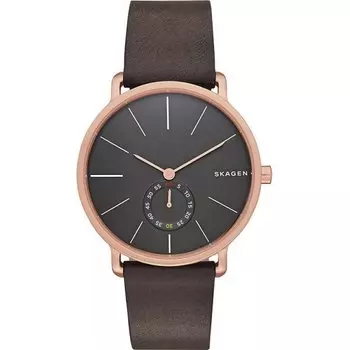 Наручные часы Skagen Leather SKW6213