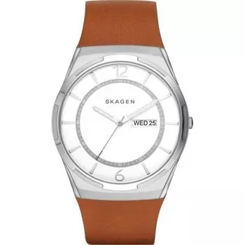 Наручные часы Skagen Leather SKW6304