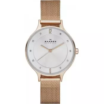 Наручные часы Skagen Mesh SKW2151