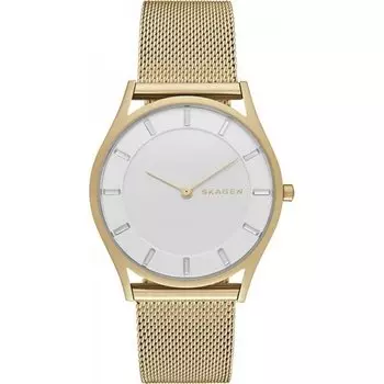 Наручные часы Skagen Mesh SKW2377