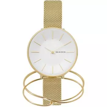 Наручные часы Skagen SKW1104