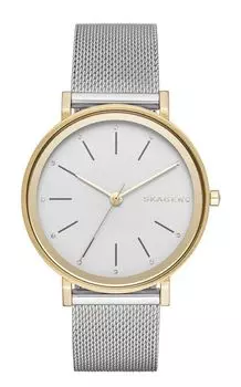 Наручные часы Skagen SKW2508