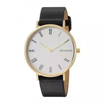 Наручные часы Skagen SKW2678