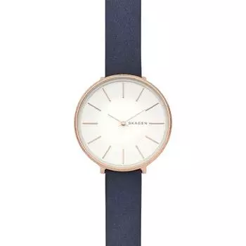 Наручные часы Skagen SKW2723