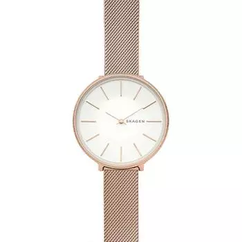 Наручные часы Skagen SKW2726