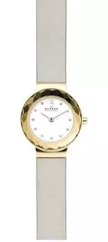 Наручные часы Skagen SKW2778