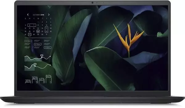 Ноутбук Dell Vostro 3515 (N6264VN3515EMEA01)