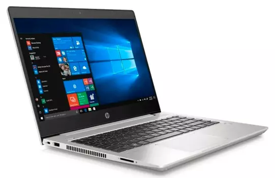 Ноутбук HP ProBook 445 G7 (1F3L1EA)