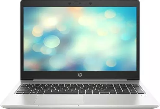 Ноутбук HP ProBook 450 G7 (3C108EA)