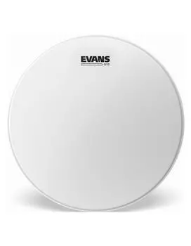 Пластик EVANS B10G12 10"