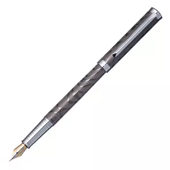 Ручка перьевая Pierre Cardin Evolution PC1031FP Silver