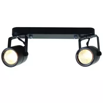 Спот Arte lamp A1310PL-2BK