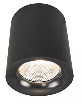 Спот Arte lamp Facile A5118PL-1BK